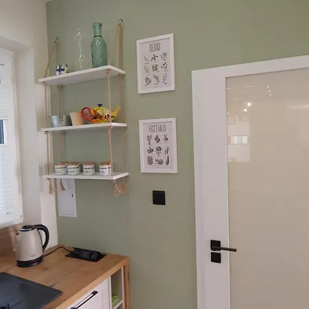 Apartament Przy Palacu Slubow Apartment